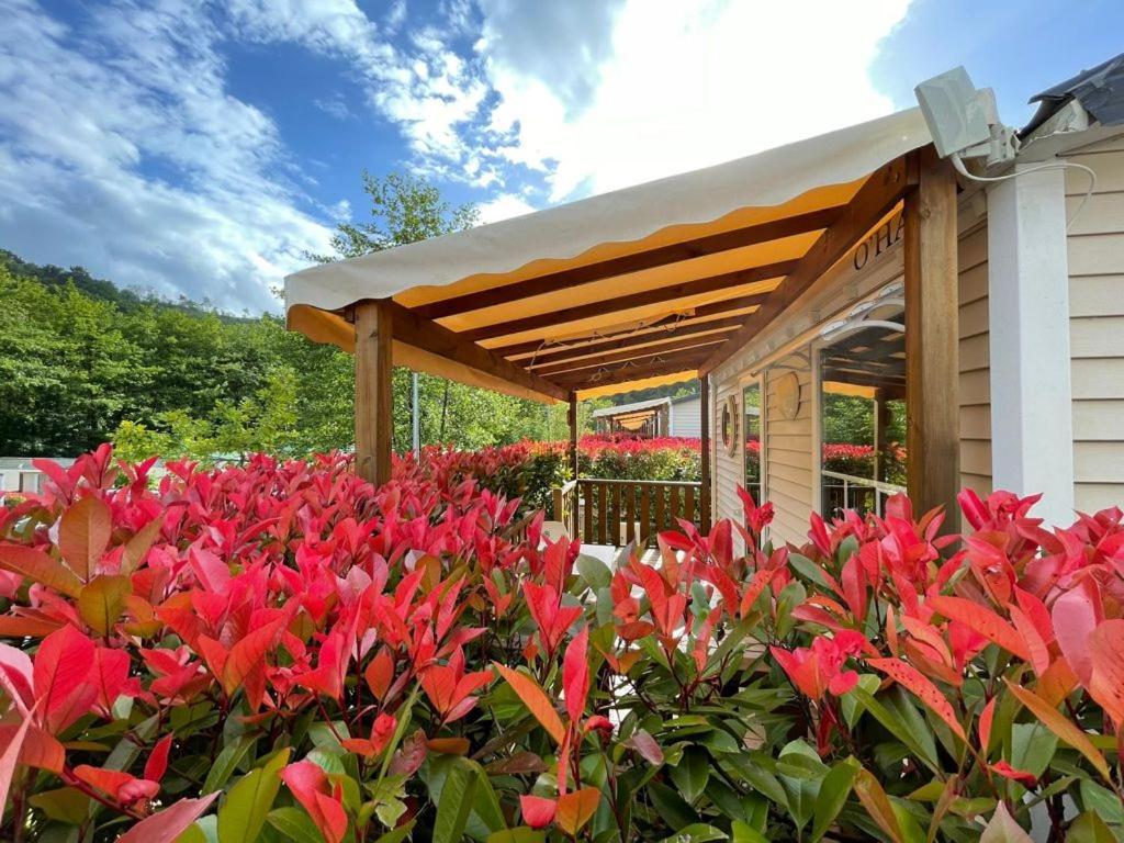 Camping Igara de San Sebastian Bagian luar foto